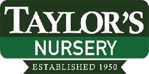 Taylor's Nursery